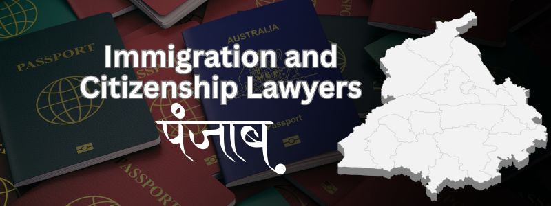 Best Immigration and Citizenship Lawyers in Punjab | SIR Help for Punjab