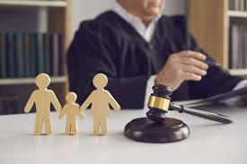 Legal Assistance for Adoption and Other Family Matters