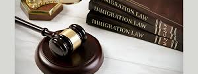 Legal Support for Visa Applications and Immigration Process